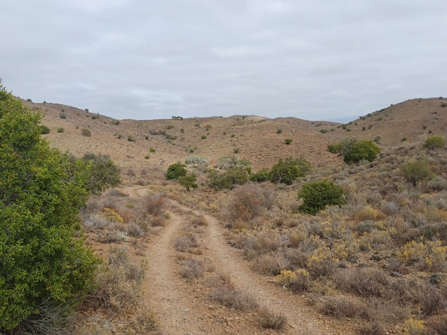 2 Bedroom Property for Sale in Ladismith Rural Western Cape